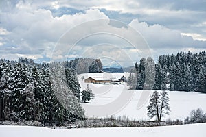 December landscape with forest and farm, Ñountryside in winter