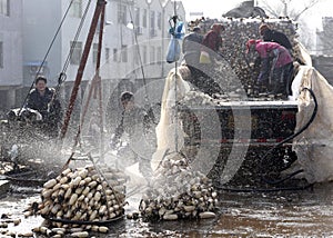 In winter the workers earn their hard money in the pond.