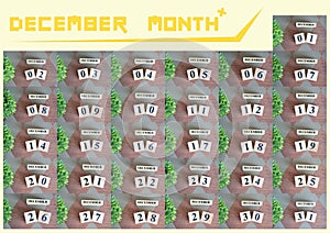 December month collection for background.