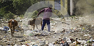 December, 2022, Raipur, India: Man sweeping the trash with broom and polyhthene big garbage area, Man cleaning the polluted area,