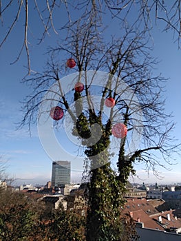 December View From Gornji Grad, Zagreb, Croatia