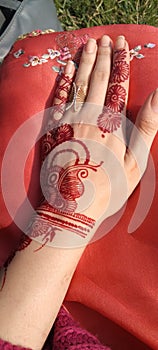 Decent and elegent henna on beautiful hand. photo