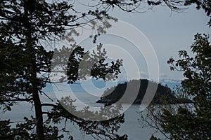 Deception Island behind cedar branches