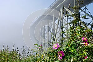 Deception Pass Bridge in fog.