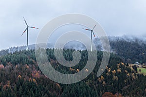 Deciduous and coniferous forest on the hill disappears in the autumn fog, wind mills