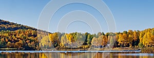 Deciduous forest reflection in an lake