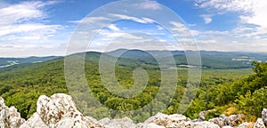 Deciduous forests panoramic view