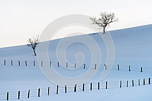 Deciduous trees with bare branches on snow covered hills in winter at Zlatibor mountain in Serbia