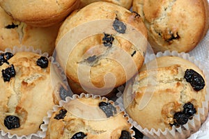 Decilious blueberry muffins