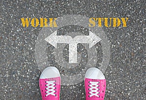 Decision to make at the crossroad - work or study