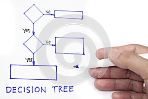 Decision tree photo