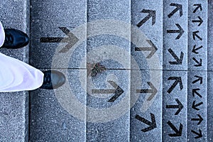 Decision - which way to go?