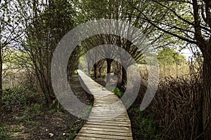 Deck paths through wetlands make difficult-to-access terrain walkable