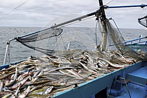 On The Deck Of Seiner AI Generated