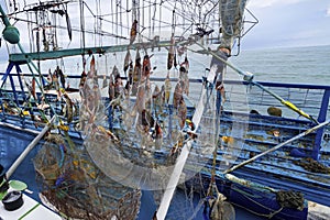 On The Deck Of Seiner AI Generated