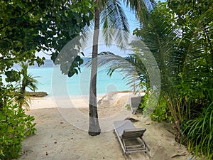 deckchair on a beautiful untouched tropical beach with palms