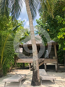 deckchair on a beautiful untouched tropical beach with palms