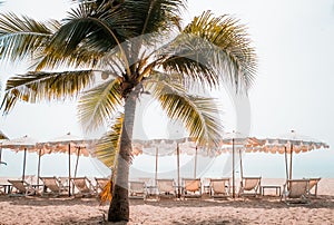 Deckchairs And Parasol With Palm Trees In The Tropical Beach.Beach in Thailand Asia and umbrellas on the beach