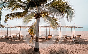 Deckchairs And Parasol With Palm Trees In The Tropical Beach.Beach in Thailand Asia and umbrellas on the beach