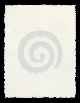 Deckle Edged Paper photo