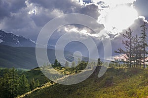 A decline in mountains. Altai, Russia.