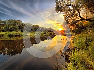 Decline on the wood river