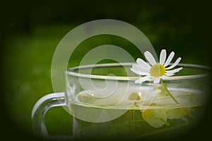 Decoction with the chamomile