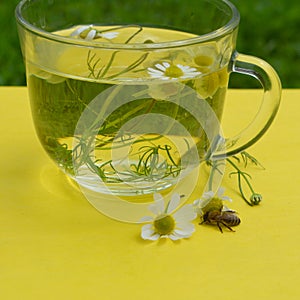 Decoction with the chamomile