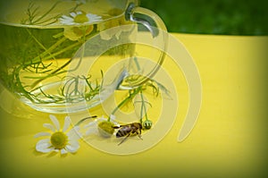 Decoction with the chamomile