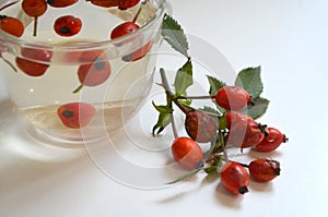 Decoction with dog rose in a cup