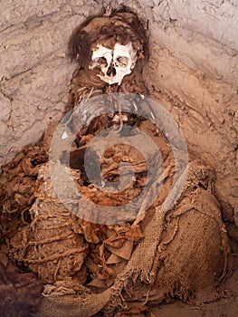 Decomposing Body In Open Grave