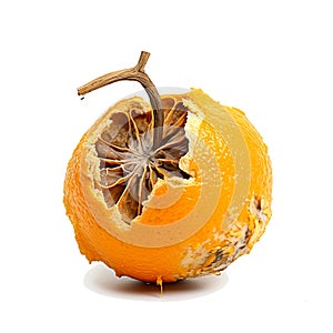 Decomposing Rotten Orange Unhealthy Eating Concept in Spoiled Citrus, Mold Growth, Generative Ai