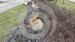 Decor `Easter Bunny` in a small town square.