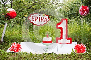 Decor for the first birthday photosession