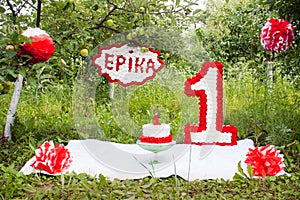 Decor for the first birthday photosession photo