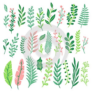 Decor leaves. Green plant leaf, ferns greenery and floral natural fern leaves isolated vector set