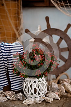 Decor in the maritime theme, anchor, glass bowls, shells, lanterns, ropes.