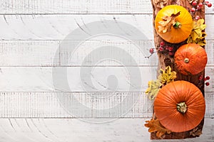 Decor from pumpkins, berries and leaves on white rustic wooden background. Concept of Thanksgiving day or Halloween. Top view