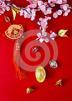 Decorate chinese new year 2019 on a red background(Chinese characters . FU. in the article refer to good luck, wealth, money flow