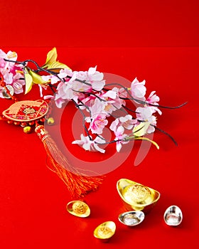 Decorate chinese new year 2019 on a red background(Chinese characters . FU. in the article refer to good luck, wealth, money flow