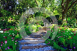 Decorate the garden with a wooden bridge