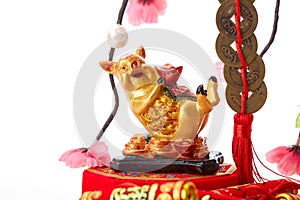 Decorate Pig 2019 Lunar New Year