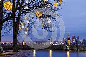 Decorated bare tree in Tallinn, Estonia