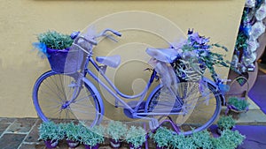Decorated Bi-Cycle Colorful Bike