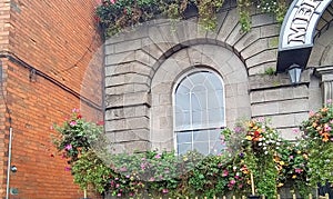 Decorated brick buildings showered with flowers in the center of Dublin
