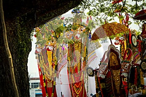 Decorated Bullock effigies of Shivratri festival