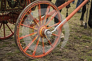 Decorated cart for St. Theodore`s day