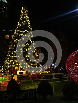 Decorated Christmas tree