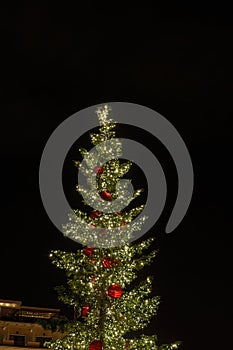 Decorated Christmas tree at Aristotelous square in Thessaloniki, Greece.