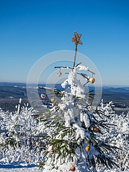 Decorated Christmas tree in the Erzgebirge